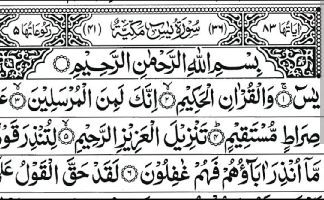 Surat Yasin Beserta Terjemahannya