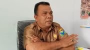 Kadis Tanaman Pangan dan Holtikultura Kabupaten Batanghari, Mara Mulia Pane. Foto: Rizki/Jambiseru.com