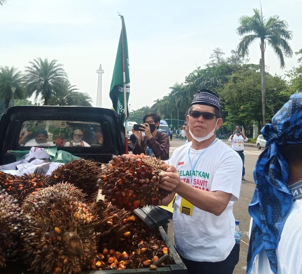 Ketua APKASINDO Batanghari, Mashuri Ketua APKASINDO Batanghari, Mashuri