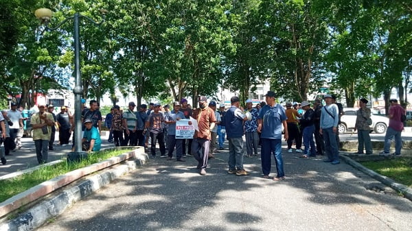 Ratusan Petani Sawit Ratusan Petani Sawit
