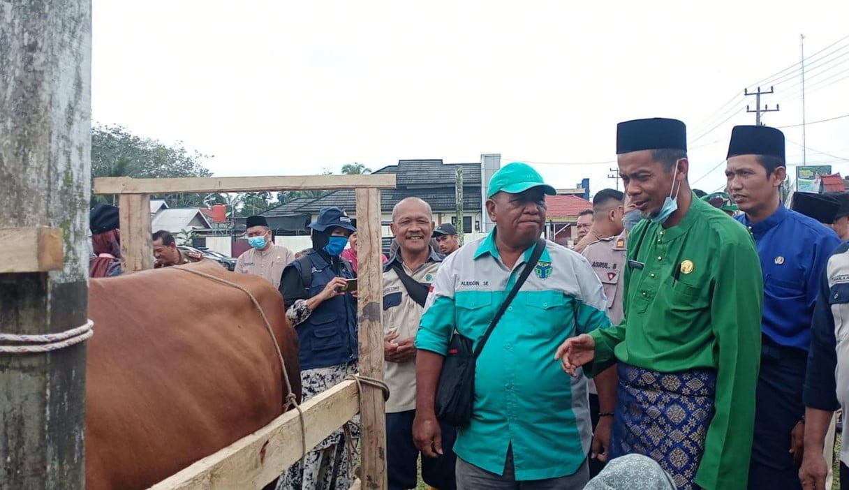 Pemkab Batanghari Mulai Menyuntikkan Vaksin PMK ke Hewan Ternak