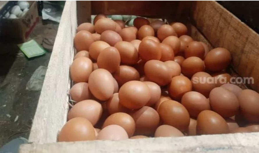 Harga Telur Naik Harga Telur Naik