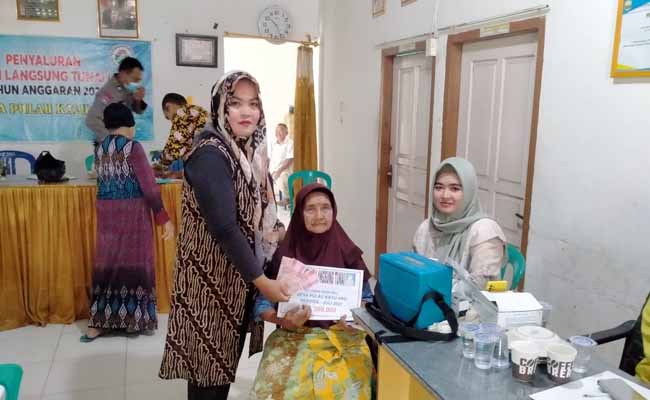 Pemdes Pulau Kayu Aro