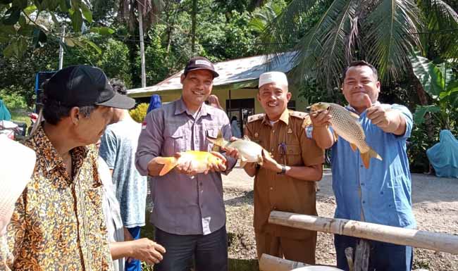 Panen Kolam Ikan Desa Sekancing