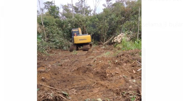 Penggarapan jalan di Desa Napal Sisik Penggarapan jalan di Desa Napal Sisik