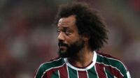 marcelo marcelo