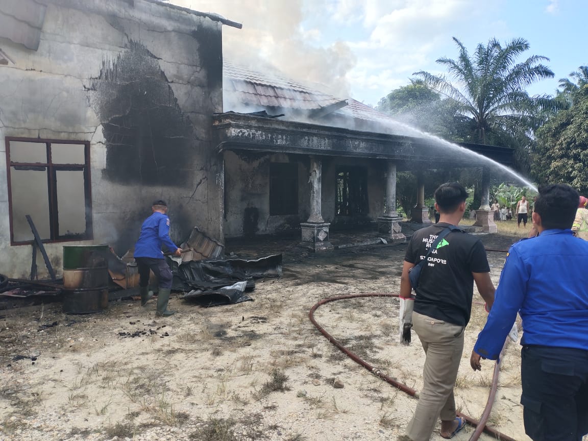 img 20240220 wa0071 img 20240220 wa0071