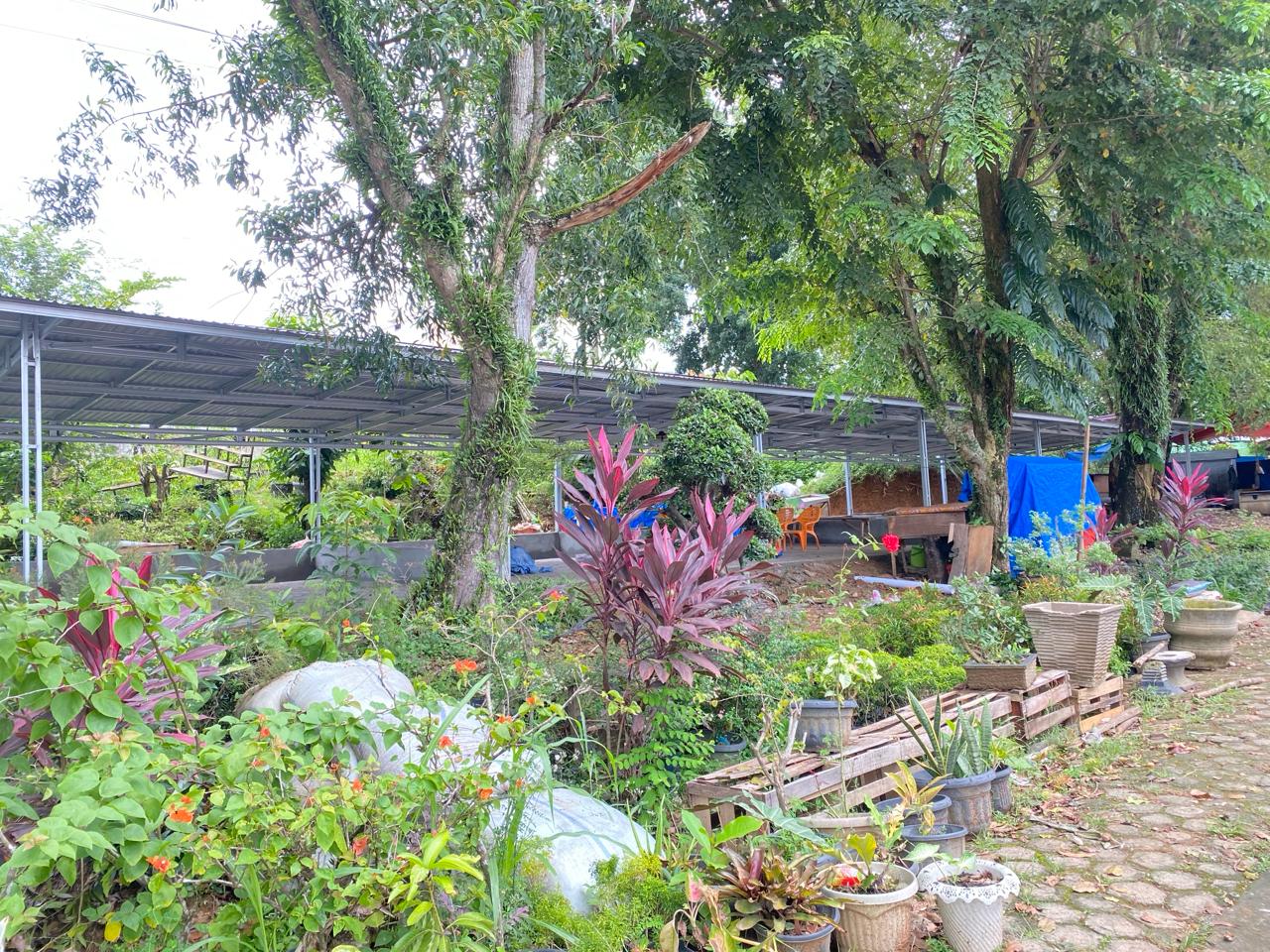 Tampak bangunan kios PKL di kawasan Ruang Terbuka Hijau (RTH) di depan Kantor Pelayanan Pajak Pratama Bangko.