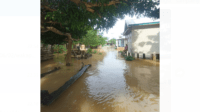 kondisi banjir di muaro jambi.