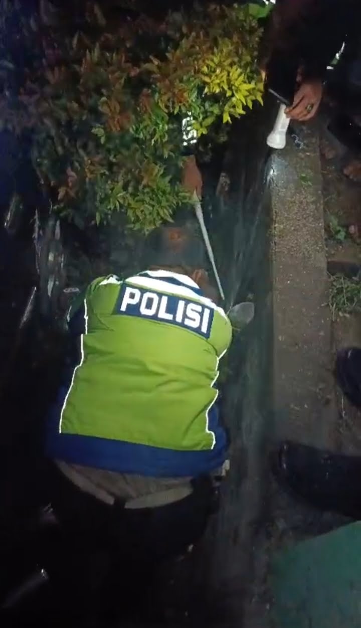 img 20240330 024013 img 20240330 024013