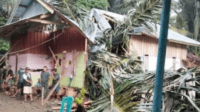 pohon kelapa tumbang menimpa rumah warga di kabupaten kupang, nusa tenggara timur (ntt) yang menewaskan bocah berusia lima tahun.