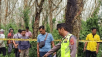 polisi saat olah tkp penemuan mayat perempuan di kebun karet desa tebing sari mulya, kecamatan belitang madang raya, kabupaten oku timur, sumatra selatan (sumsel).