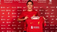 federico chiesa