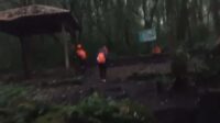 img 20240908 wa0001