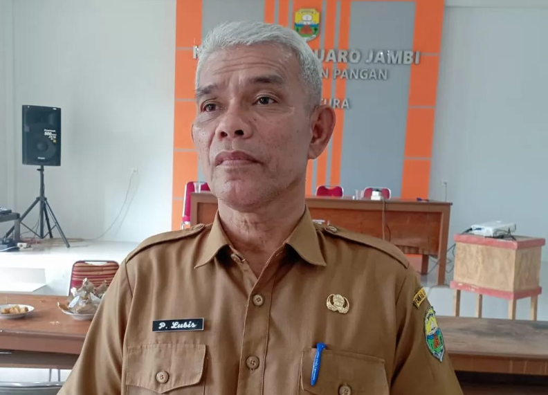 kepala dinas tanaman pangan dan hortikultura (dtph) kabupaten muaro jambi paruhuman lubis kepala dinas tanaman pangan dan hortikultura (dtph) kabupaten muaro jambi paruhuman lubis