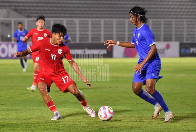 timnas indonesia
