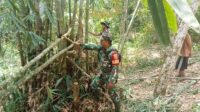 Satgas TMMD ke-122 Kodim Sarko siapkan lokasi pembuatan kolam, kandang kambing dan lahan pertanian. Minggu (6/10/2024).
