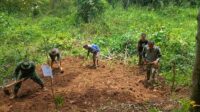 Anggota Satgas TMMD Kodim 0420/Sarko Bangunkan Saung untuk Masyarakat Desa. Senin (7/10/2024).