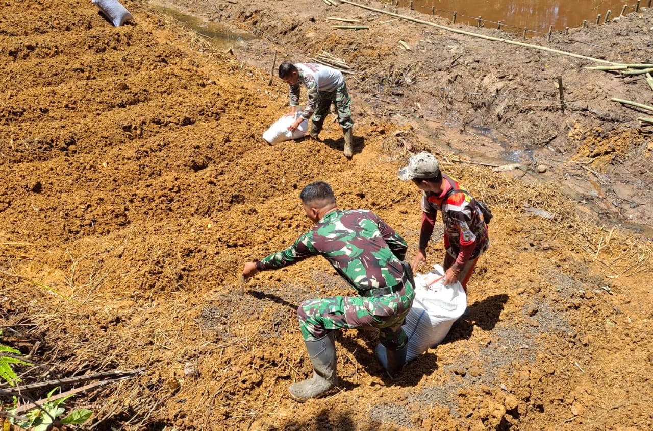 Dalam rangka mendukung program pertanian berkelanjutan, anggota Satgas TMMD ke 122 Kodim 0420/Sarko, dibawah Koordinator Kapten Inf Sahita bersama warga Desa Bedeng Rejo, Kecamatan Bangko Barat, Kabupaten Merangin melaksanakan kegiatan penaburan pupuk organik di lahan pertanian Hanpangan Jumat (17/10/2024). Dalam rangka mendukung program pertanian berkelanjutan, anggota Satgas TMMD ke 122 Kodim 0420/Sarko, dibawah Koordinator Kapten Inf Sahita bersama warga Desa Bedeng Rejo, Kecamatan Bangko Barat, Kabupaten Merangin melaksanakan kegiatan penaburan pupuk organik di lahan pertanian Hanpangan Jumat (17/10/2024).