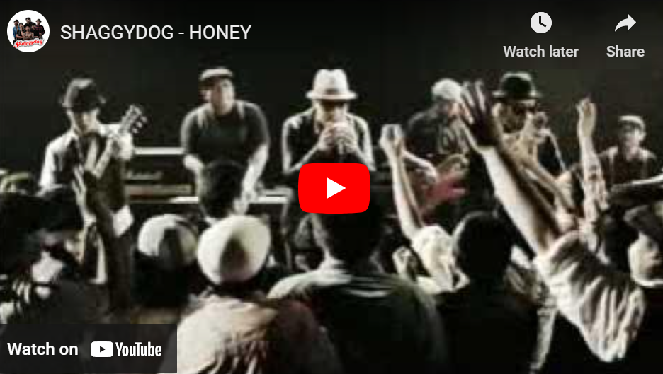 lagu honey shaggydog.