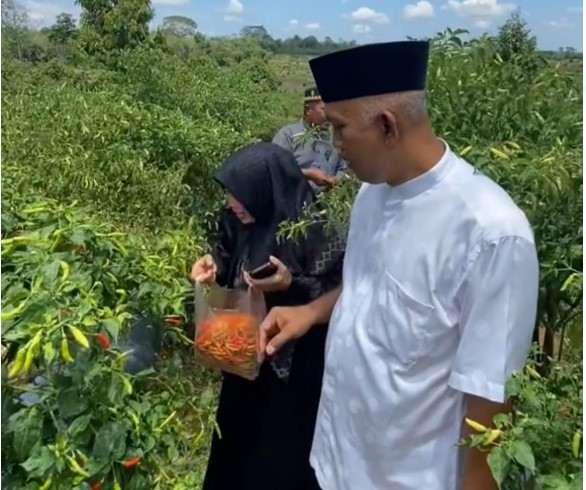 sebagai kabupaten dengan area pertanian yang cukup luas, pasangan calon bupati dan wakil bupati muaro jambi nomor urut 1, asnawi supratno sebagai kabupaten dengan area pertanian yang cukup luas, pasangan calon bupati dan wakil bupati muaro jambi nomor urut 1, asnawi supratno
