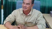 yulfi