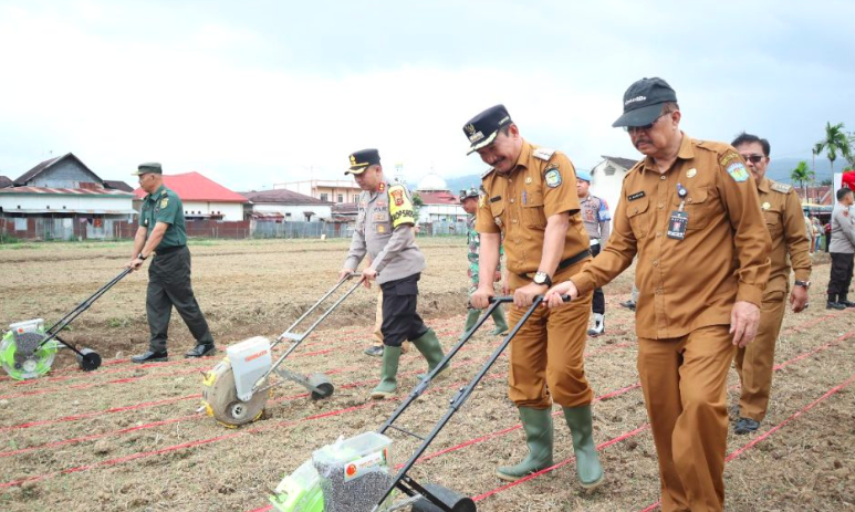 Penanaman Jagung Serentak. Foto: Oga/Jambiseru.com Penanaman Jagung Serentak. Foto: Oga/Jambiseru.com
