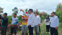 Pj Bupati Asraf Meninjau Lokasi Calon Ibu Kota Kerinci Hilir. Foto: Oga/Jambiseru.com