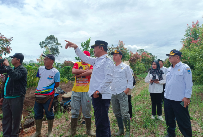 Pj Bupati Asraf Meninjau Lokasi Calon Ibu Kota Kerinci Hilir. Foto: Oga/Jambiseru.com