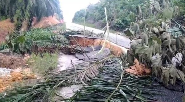 Jalan penghubung Desa Petajen, Kecamatan Bajubang menuju Desa Sungai Buluh, Kecamatan Muara Bulian, Batanghari amblas.