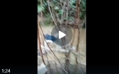 Jasad seorang kakek berusia (60) ditemukan mengapung di sebuah anak sungai di areal perkebunan kelapa sawit di Kabupaten Batanghari.