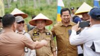 Gubernur Al Haris, Kapolda, Danrem 042 Gapu dan Forkopimda Lakukan Penanaman Bibit Jagung Dukung Swasembada Pangan