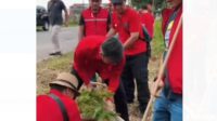 Seluruh Kader PDI-P Jambi melakukan penanaman pohon dalam peringatan hari lahir Ketua Umum PDI-P, Megawati Soekarno Putri.