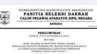 Pengumuman hasil seleksi PPPK kabupaten Meragin formasi tahun 2024. Ist.