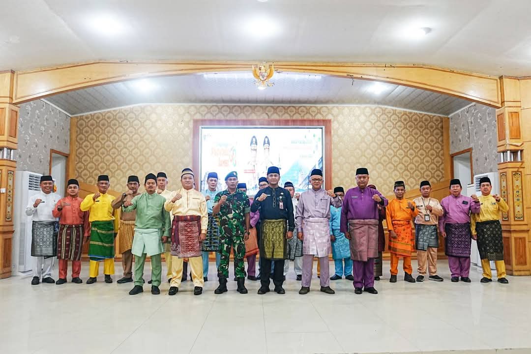 img 20250211 wa0019 img 20250211 wa0019