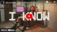 lagu i know olly alexander.