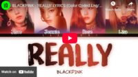 lagu really blackpink. lagu really blackpink.