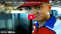 lagu the real slim shady eminem. lagu the real slim shady eminem.