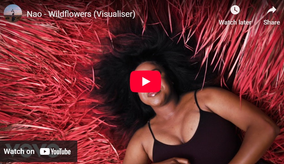lagu wildflowers nao.