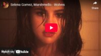 lagu wolves marshmello ft selena gomez.