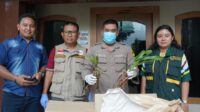 Balai Karantina Hewan, Ikan, dan Tumbuhan Jambi menahan enam bibit anggrek Dendrobium di Bandara Sultan Thaha Jambi
