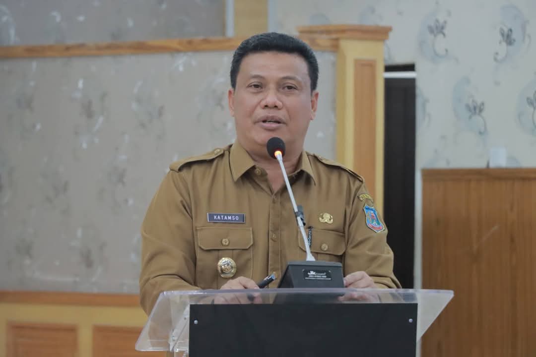 img 20250416 wa0018 img 20250416 wa0018