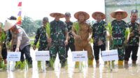 Bupati Muaro Jambi, Bambang Bayu Suseno (BBS) ikuti tanam padi serentak se Provinsi Jambi.