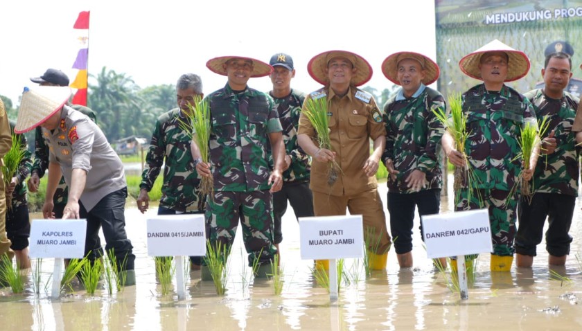 Bupati Muaro Jambi, Bambang Bayu Suseno (BBS) ikuti tanam padi serentak se Provinsi Jambi.
