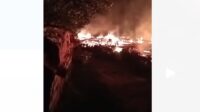 Satu unit rumah yang berada di KM 20 RT 17 Desa Sebapo, Kecamatan Mestong, Kabupaten Muaro Jambi terbakar.