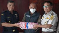 Balai Karantina Hewan, Ikan, dan Tumbuhan Jambi (Karantina Jambi) melalui Satuan Pelayanan Pelabuhan Kuala Tungkal bersama Bea Cukai berhasil menggagalkan pemasukan bawang putih dan bawang bombai yang tidak disertai dokumen karantina dari daerah Batam.