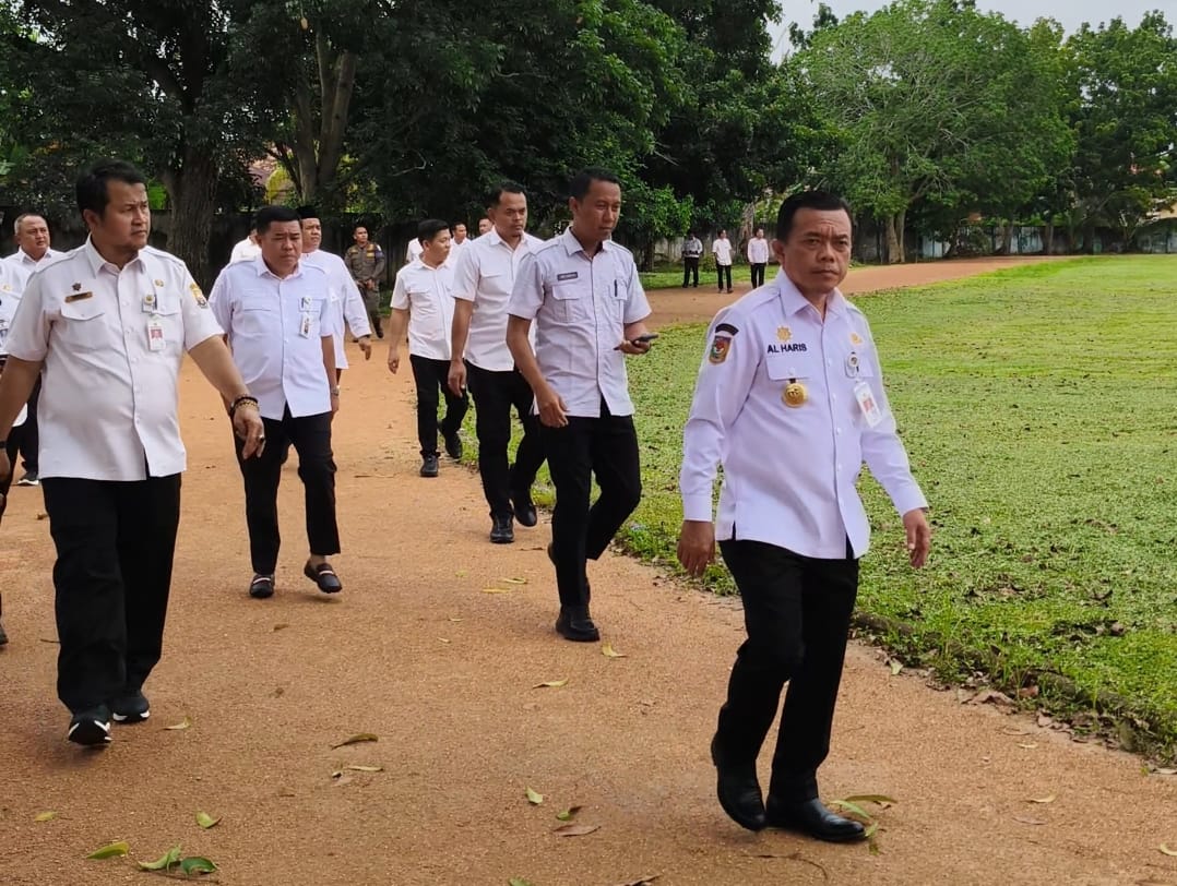 stadion mini stadion mini