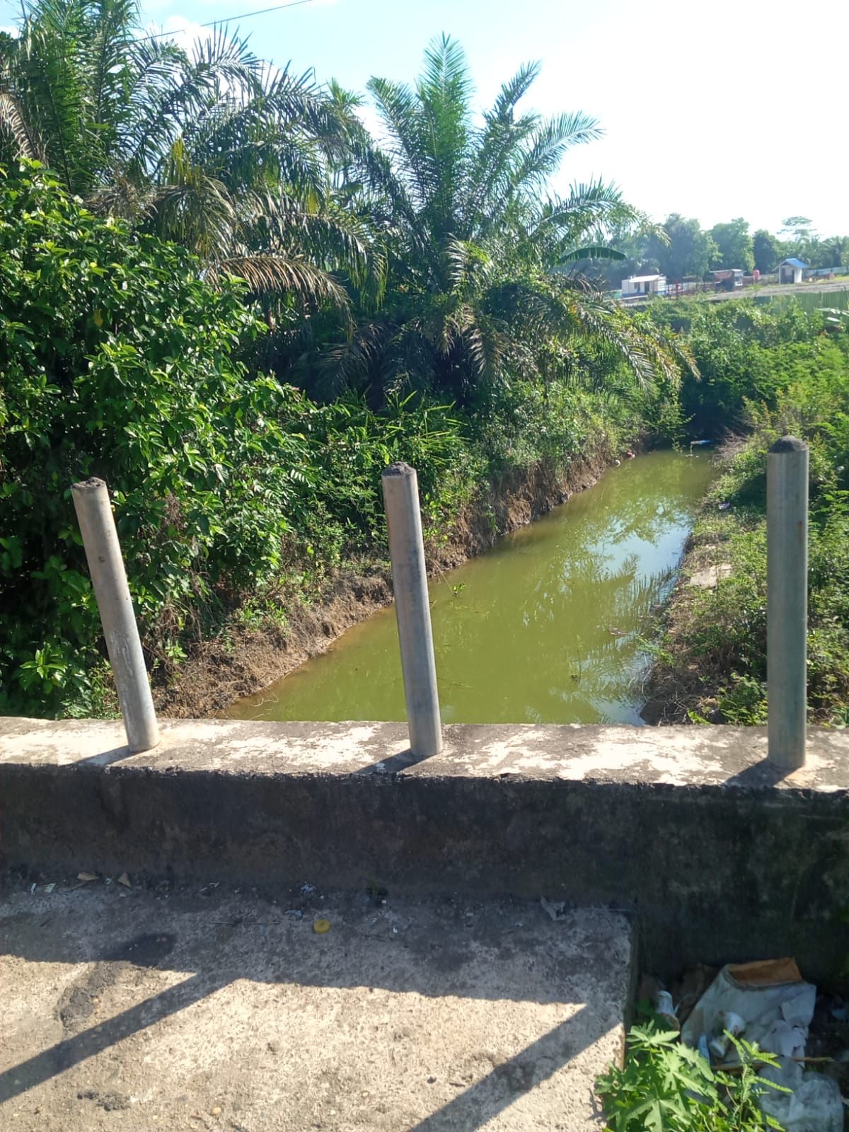 img 20250518 wa0010