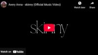 lagu skinny avery anna.