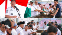 Panen Perdana Benih Kentang G0